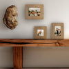 Triptych of Memories 3-Piece Box Top Photo Frame Set